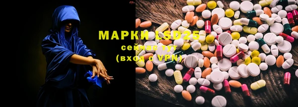 гашик Семилуки