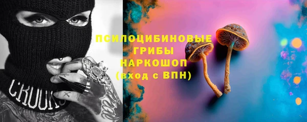 эйфоретик Сатка
