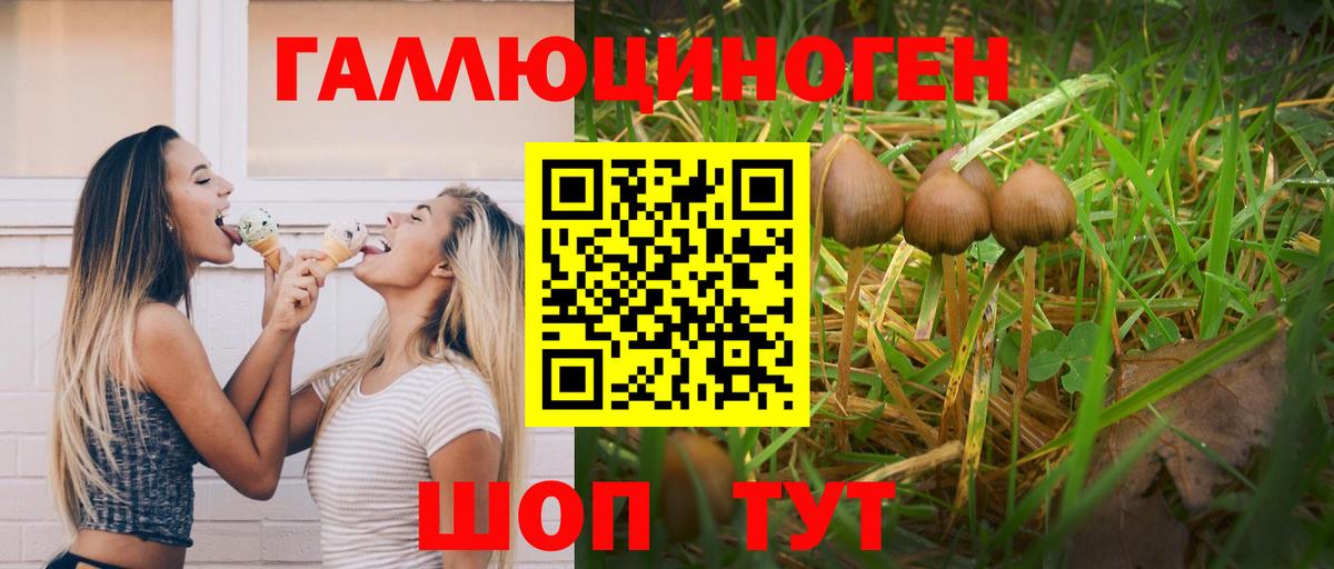 Псилоцибиновые грибы MAGIC MUSHROOMS Белово