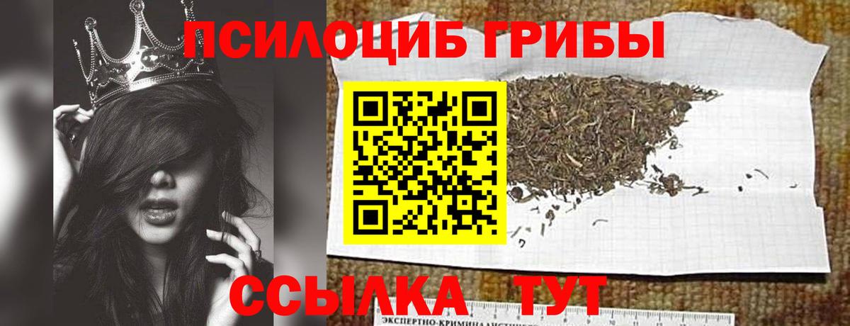Псилоцибиновые грибы прущие грибы  где купить   Белово  Вход с VPN  Галлюциногенные грибы прущие грибы 