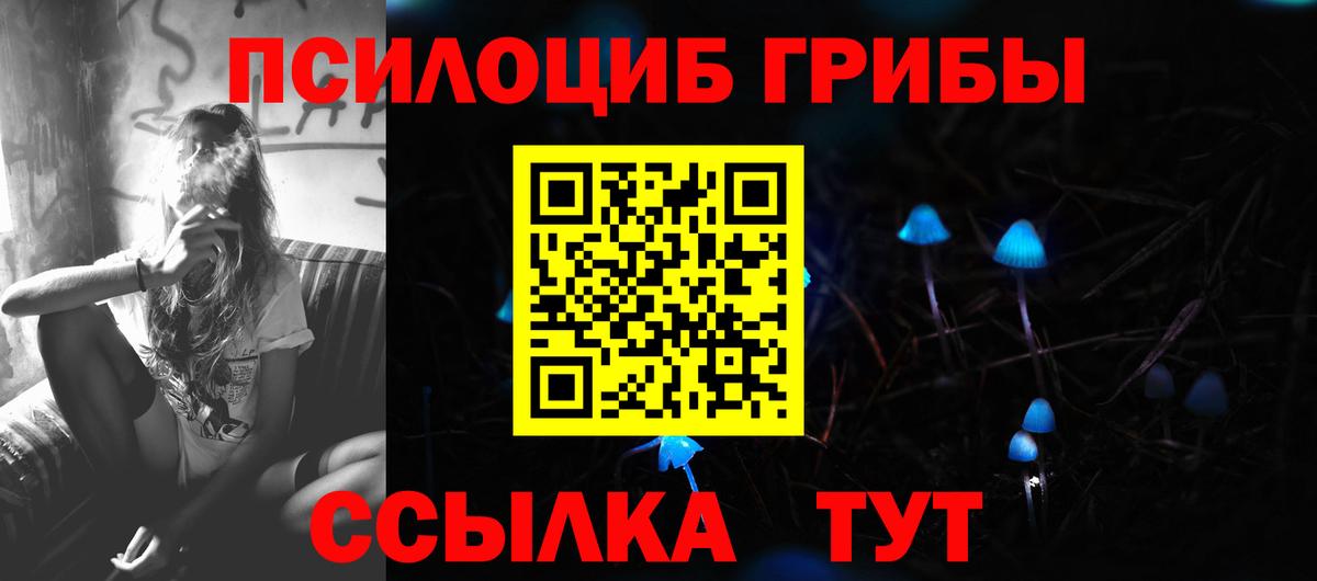 Псилоцибиновые грибы Magic Shrooms  Белово 