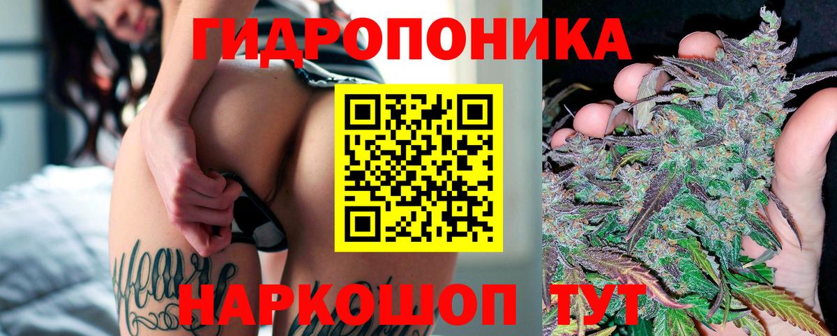Каннабис ГИДРОПОН  Вход с VPN  Конопля OG Kush  Каннабис гибрид  Белово 
